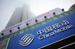 【8分钟教程】攀枝花公司咨询电话号码_哔哩哔哩-3